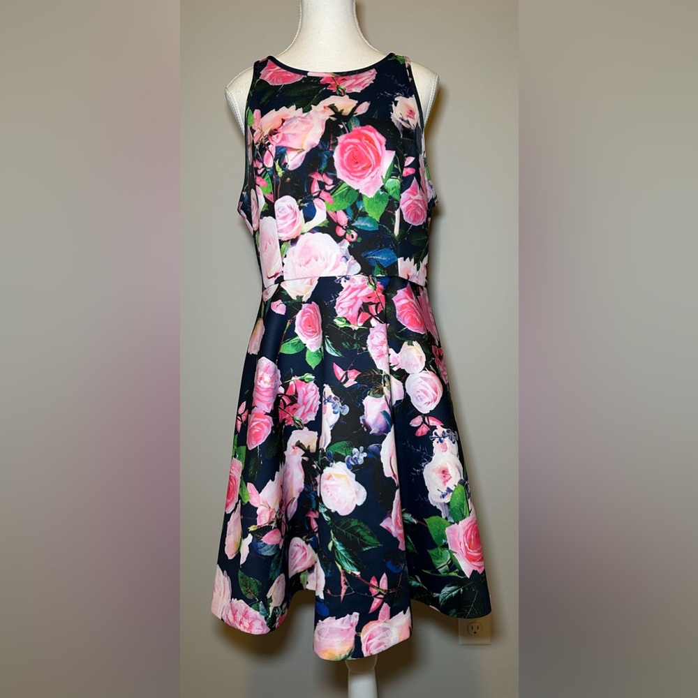 Betsey Johnson Pink Blue Green Rose Flower Floral Fit & Flare Dress Spring 14 🌸